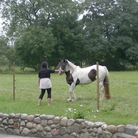 Herberg Froslev Padborg