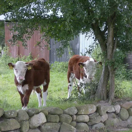 Mini-hôtel Froslev 3*