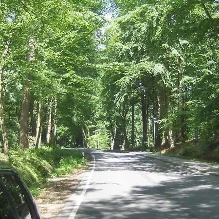 Froslev Padborg