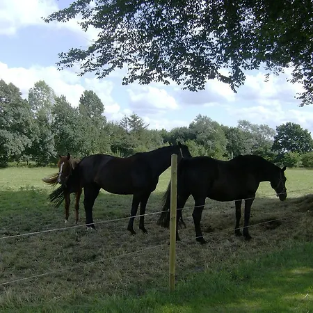 Kro Frøslev 3*