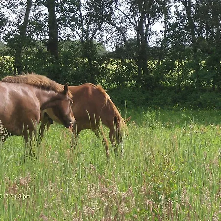Herberg Froslev Padborg