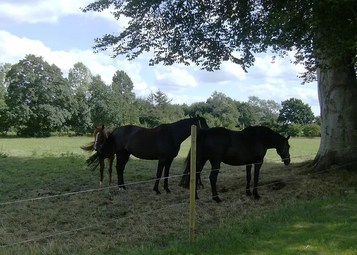 Estalagem Froslev 3*